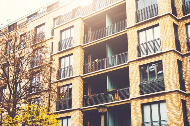 The Second Check: The Best Professionals in Real Estate Build More Than One Income